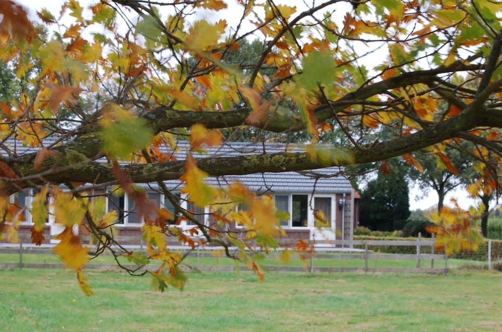 Vlodrop B&B Roodbeekerhof מראה חיצוני תמונה